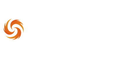 Logo of Laser Insights China featuring an orange swirl design and bold white text.